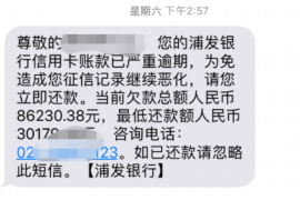 鄂州为什么选择专业追讨公司来处理您的债务纠纷？